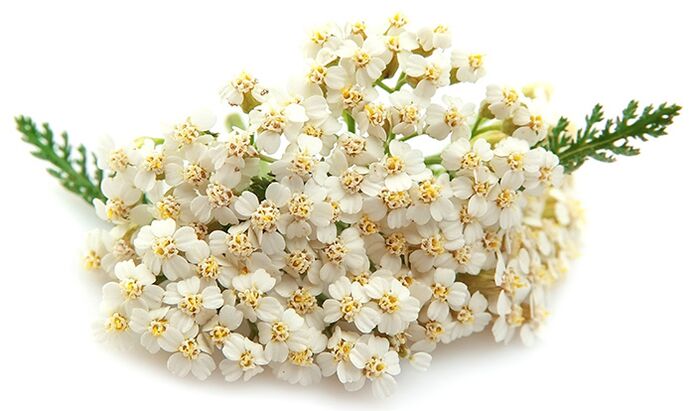 Gelarex enthält tausend Blätter